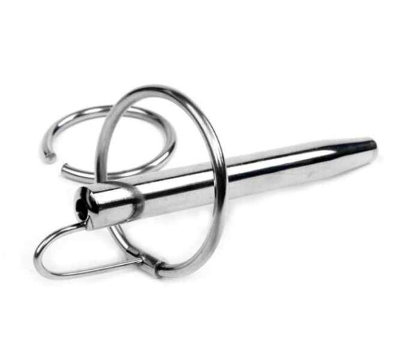 Stainless Steel Day And Night Prince Plug