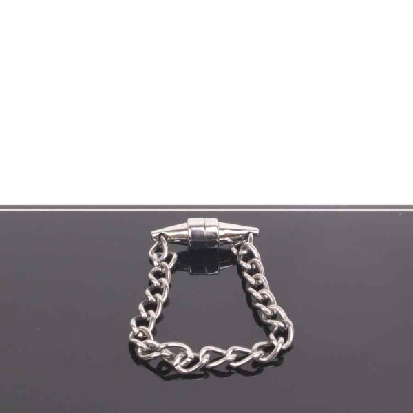 Magnetic Nipple Pinchers with polished chain