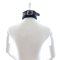 Padded Collar with Leash Black
