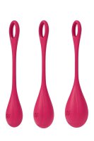 Satisfyer Yoni Power 1 Training Set Red
