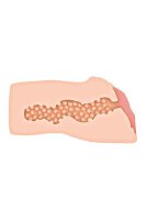 Zero Tolerance Alexis Texas Realistic Vagina Stroker