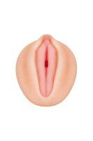 Zero Tolerance Alexis Texas Realistic Vagina Stroker