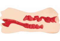 Adult Manga Crimson: Investigator Kyoka Suzumine