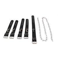 Budget Body Restraints Set Black