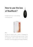 Realistic Cock - With Scrotum - Black 25,5 cm