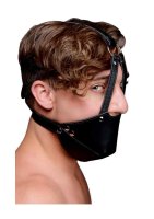 Mouth Harness with Ball Gag