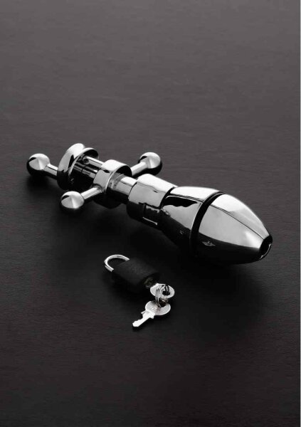 The Ultimate Asslock