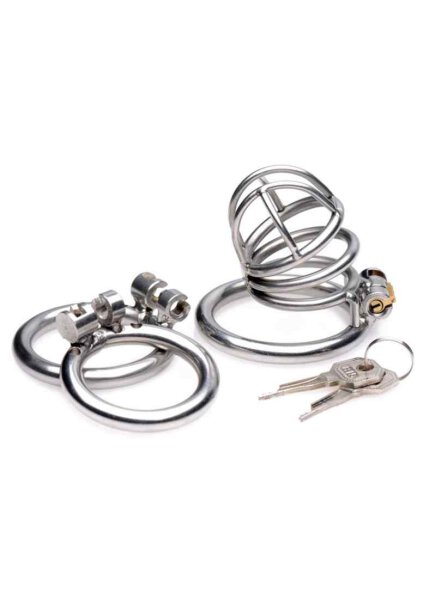 Master Series The Pen Deluxe Locking Chastity Cage Silver