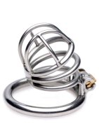 Master Series The Pen Deluxe Locking Chastity Cage Silver