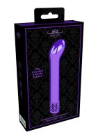 Jewel Rechargeable ABS Bullet Purple