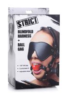 Strict Blindfold Harness with Ball Gag