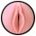 FLESHLIGHT Pink Lady Destroya Vagina Masturbator