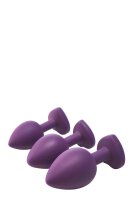 Flirts Anal Training Kit Gem Stone Purpl