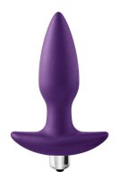 Flirts 10 Functions Vibrating Plug Purpl