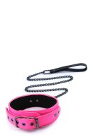 Electra Collar And Leash pink