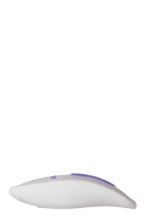 Evolved Anywhere Vibe