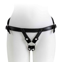 Harness Universal