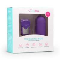 Remote Controllable Vibrating Egg Purple