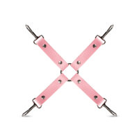 Secret Pleasure Chest Pink Pleasure