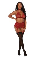 Fishnet & Lace 4-Pc Set Rot One Size - Queen Size