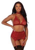 Fishnet & Lace 4-Pc Set Rot One Size - Queen Size