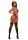 Fishnet & Lace 4-Pc Set Rot One Size - Queen Size