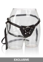 Her Royal Harness The Countess Black