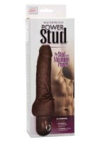 Power Stud Cliterrific Brown