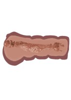 Super Wet Travel Beaver Brown