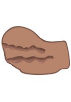 Hot Honey Rider Vibr. Brown