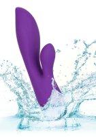 Aura Dual Lover Purple