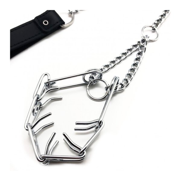 Leash With Collar Penis Hooks