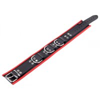 Leather Necklace with 3 Red D-Rings