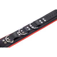 Padded Leather Collar With 3 D-Rings Red