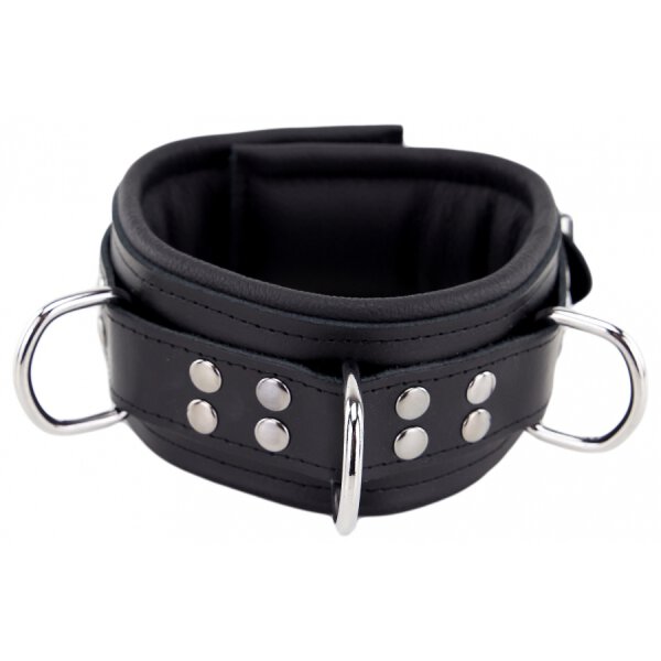 Padded Leather Collar with Black D-Rings