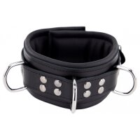 Padded Leather Collar with Black D-Rings