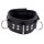 Padded Leather Collar with Black D-Rings