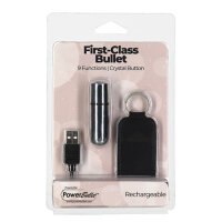 PowerBullet First Class Mini Bulllet with Crystal 9 Function Silver