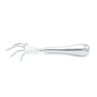 Stainless Steel Claw Scratcher