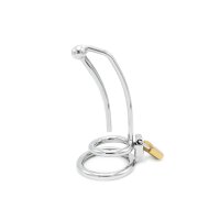 Penis Lock with Hollow Curved Penis Stick