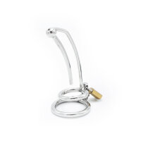 Penis Lock with Hollow Curved Penis Stick