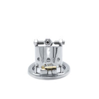 Torture Chastity Device