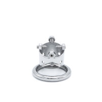 Torture Chastity Device