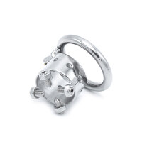 Torture Chastity Device