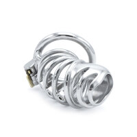Modern Torture Chastity Device