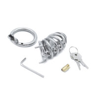 Modern Torture Chastity Device