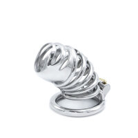 Modern Torture Chastity Device