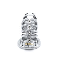 Modern Torture Chastity Device