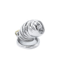 Modern Torture Chastity Device