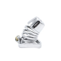 Future Chastity Device